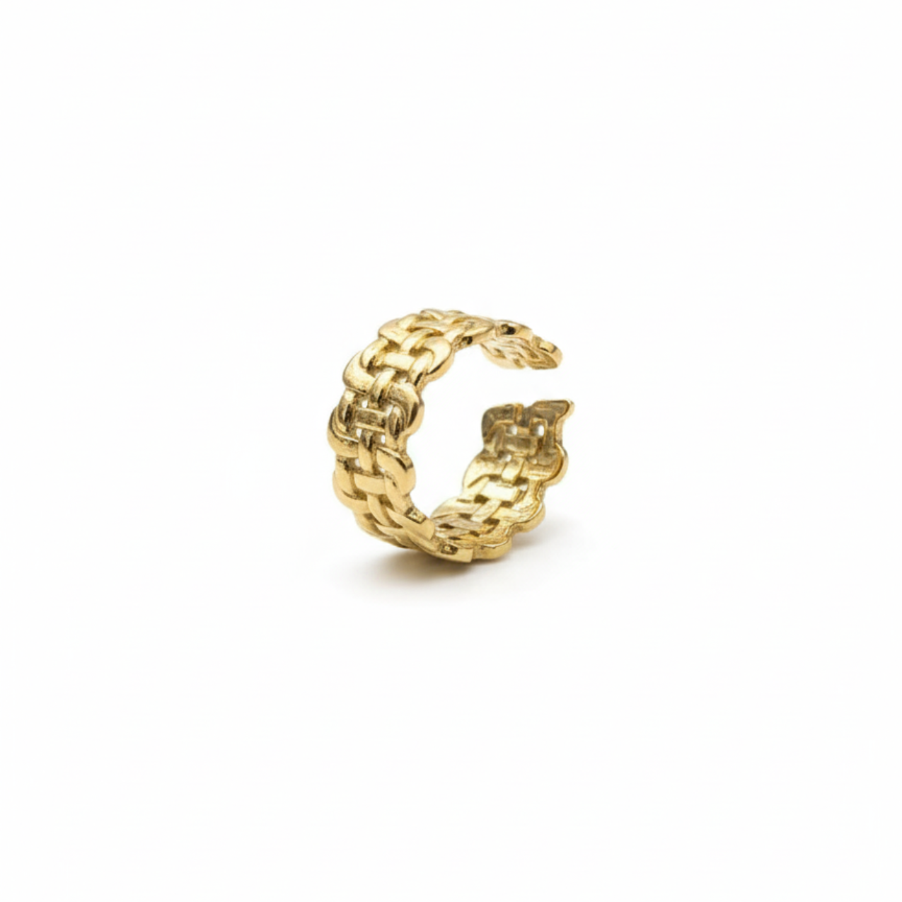 Anillo Maillage Absoluto