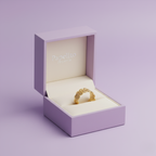 Anillo Maillage Absoluto