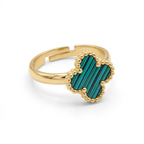 Conjunto Verdant Charm Herencia