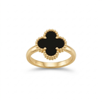 Conjunto Midnight Clover