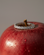 ANILLO TESS