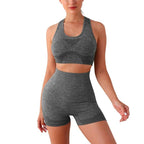 Conjunto deportivo mujer 2pcs gris - talla unica - Nemessis Shop®
