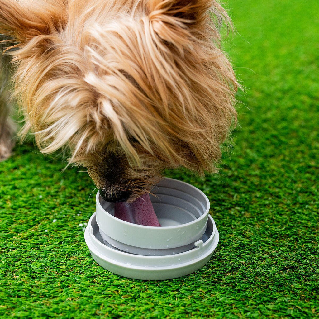 Correa Retráctil para Perros 6 en 1 Leashic - Nemessis Shop®