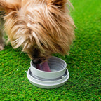 Correa Retráctil para Perros 6 en 1 Leashic - Nemessis Shop®