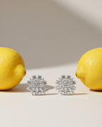 PENDIENTES ALBO