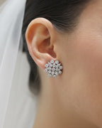 PENDIENTES ALBO