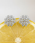 PENDIENTES ALBO